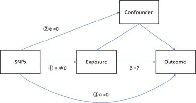 Multigenomics Reveals the Causal Effect of Herpes Simplex Virus in Alzheimer’s Disease: A Two-Sample Mendelian Randomization Study